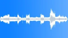 BEESSound Effect