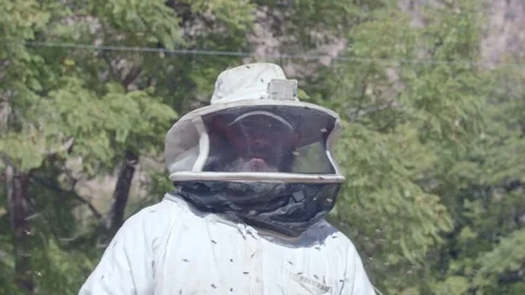 Bees swarming about the head of beekeeper under veil slow motion Stock Footage 84263705