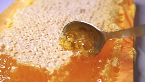 Bees swarming in honeycomb, super macro footage. Insects working beehive, honey Stock Footage 252526817