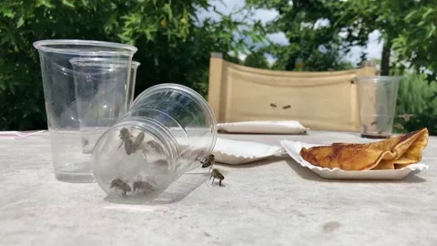 Bees swarming over discarded drinks and food 動画素材 159130584