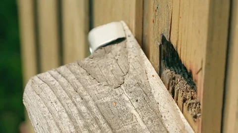 Bees take off for work from a beehive and come back with nectar. Video stock 80129933