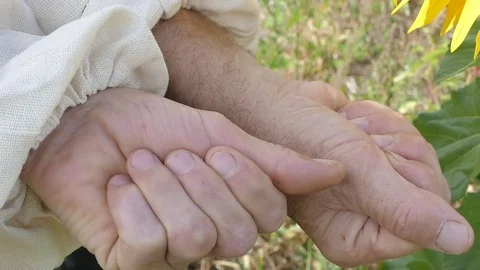 Bees in their hands Stock Footage 79141767