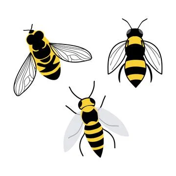 Bees vector illustration set, isolated illustration icons Stock Illustration