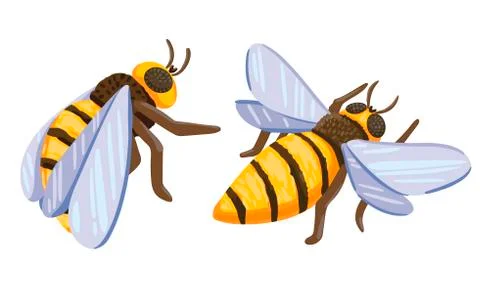 Bees on a white background. Flying insects Vector illustration Stock Illustration