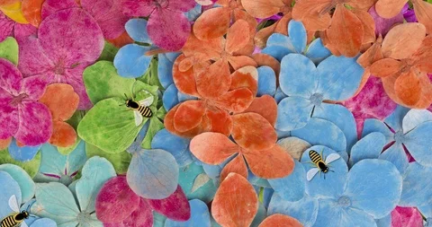 Bees at work during pollination Stock Footage 122917901