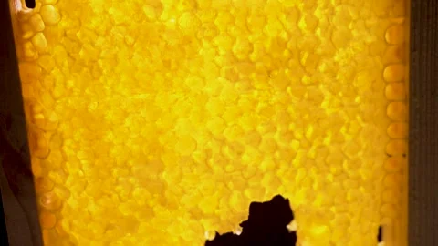 Bees working process extreme macro view. Inside hive, wax, honey, nectar, brood Stock Footage 252605691