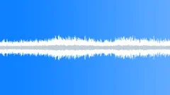 BeesAndBirdsLOOP Sound Effect