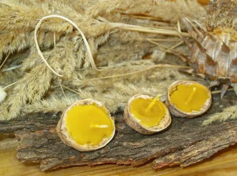 Beeswax candles Stock Photos