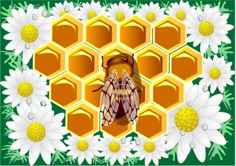 Beeswax Stock Illustration