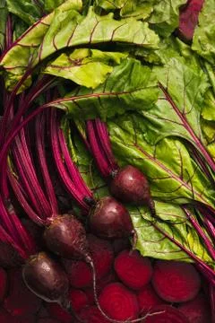 Beet beetroot background with beet slices and leaves. Stock Photos