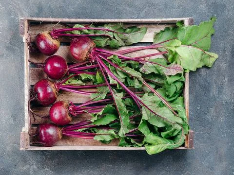 Beet, beetroot bunch on dark background, copy space Beet, beetroot bunch i... Stock Photos