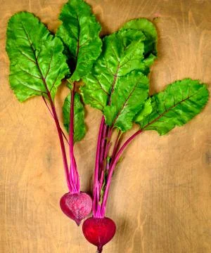 Beet, beetroot bunch on wooden background. Copy space. 库存照片