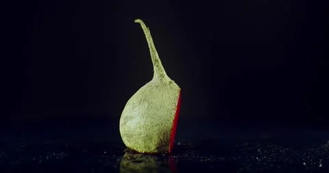 Beet. Beetroot. Roundshot circa 360 degrees. Stock Footage 221179879