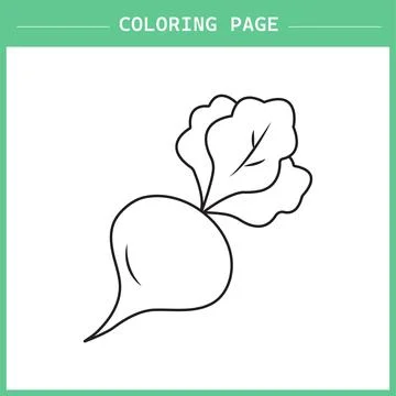 Beet coloring book, vegetable book art for kids イラスト素材