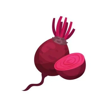 Beet cut. Beetroot concept and seasonal harvest. Illustrazione stock