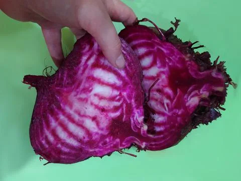 Beet cut pink with white stripes. Stock Photos