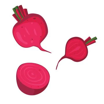 Beet. Doodle Vector Icon Full and half Illustrazione stock