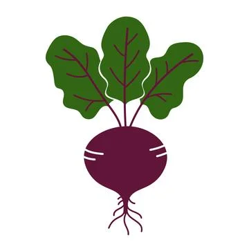 Beet flat icon isolated on white Stock Illustration
