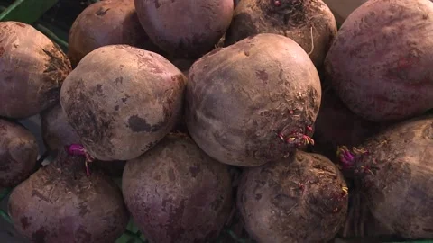Beet Stock Footage 160598191