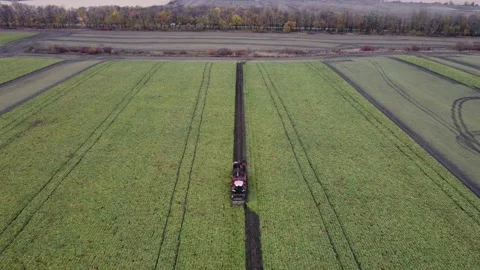Beet harvester digs beets Stock Footage 163933698