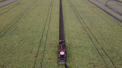 The beet harvester harvests sugar beets Stock Footage 163934007
