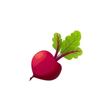 Beet icon, cartoon style vector illustration isolated on white background Stock Illustration
