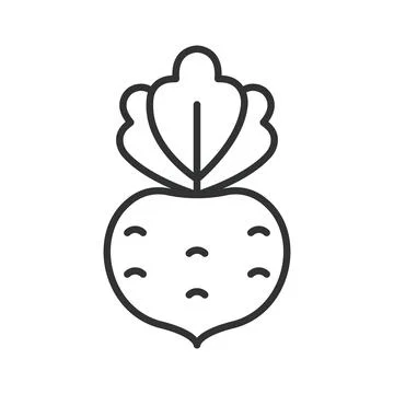 Beet icon in line design. beetroot vegetable food fresh organic healthy cooking Stock Illustration