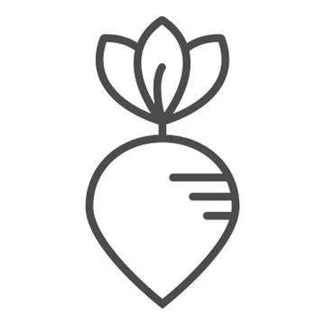 Beet icon vector. Outline beetroot, line beet symbol. Trendy flat ui sign design Stock Illustration