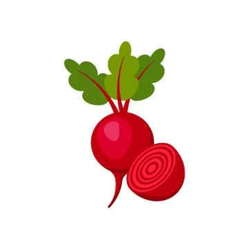 Beet isolated on white background. Vector illustration. Stock Illustration