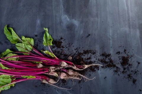 Beet leaves and beetroot with soil Stock Photos