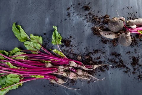 Beet leaves and beetroot with soil on black Foto stock