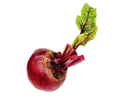 Beet with leaves isolated. Stock Photos