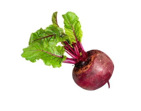 Beet with leaves isolated. Stock Photos