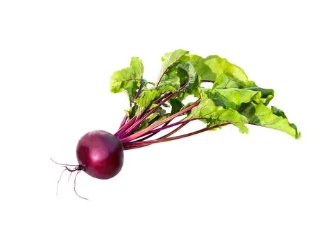Beet with leaves isolated. Stock Photos