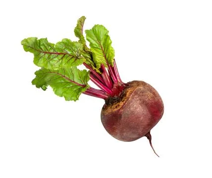 Beet with leaves isolated. Stock Photos