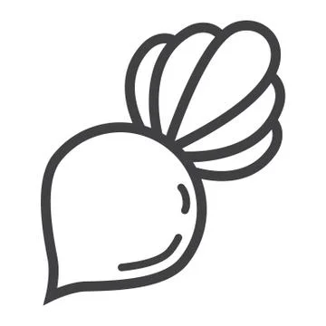 Beet line icon, vegetable and diet イラスト素材