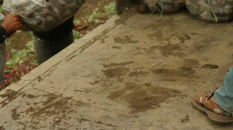 Beet Load Stock-Footage 22279297