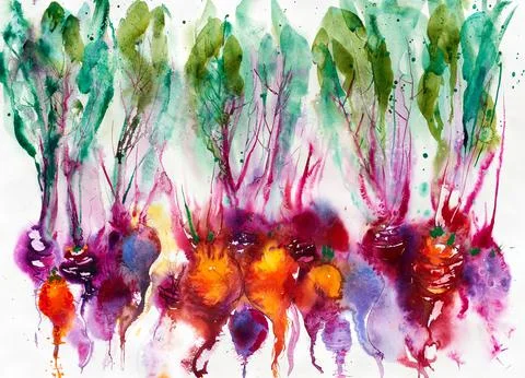 Beet painted with watercolors on white background. Bright, tasty, juicy beets. Stock Illustration