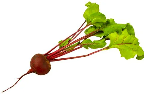 Beet Stock Photos