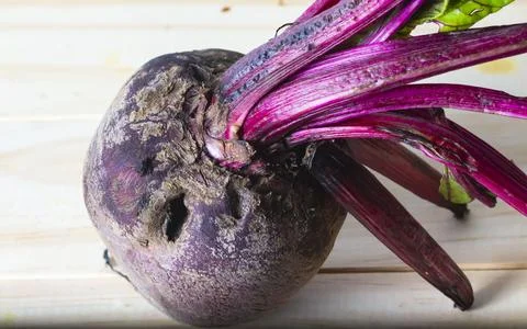 Beet Stock Photos
