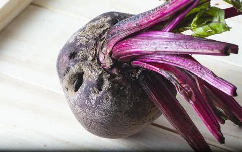 Beet Foto stock
