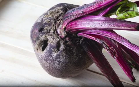 Beet Stock Photos
