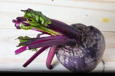 Beet Stock Photos
