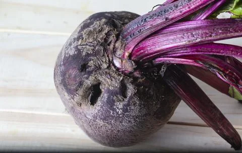 Beet Stock Photos