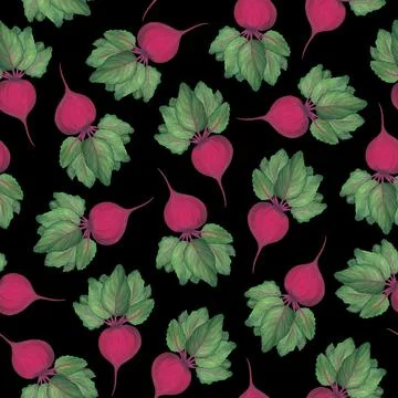Beet root and top green leaves on a black background. Seamless pattern. Fresh Stock Illustration