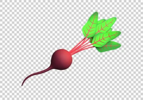 Beet root with green leaves. 3d rendering Stock Illustration