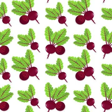 Beet root with green leaves Stockillustratie