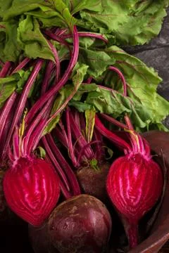 Beet root harvest. Stock Photos