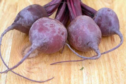 Beet root Stock Photos