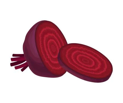 Beet-Root Without Beet Tops Cut into Sections Vector Illustration 스톡 일러스트